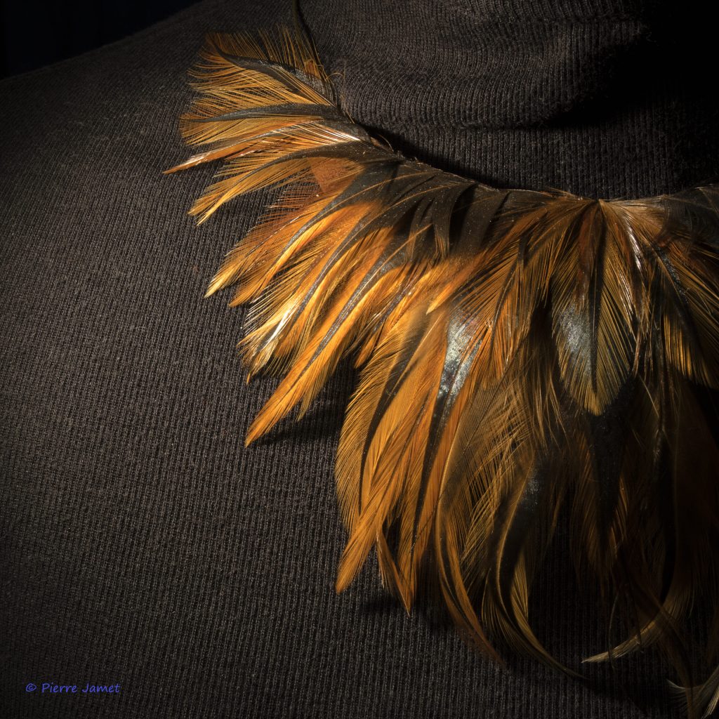 Pierre Jamet - collier de plumes Anne Kalonji